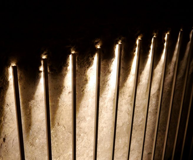 Day on Earth Julia Puyo