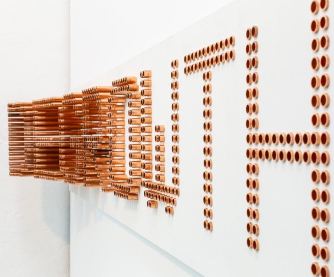 Degrowth Julia Puyo